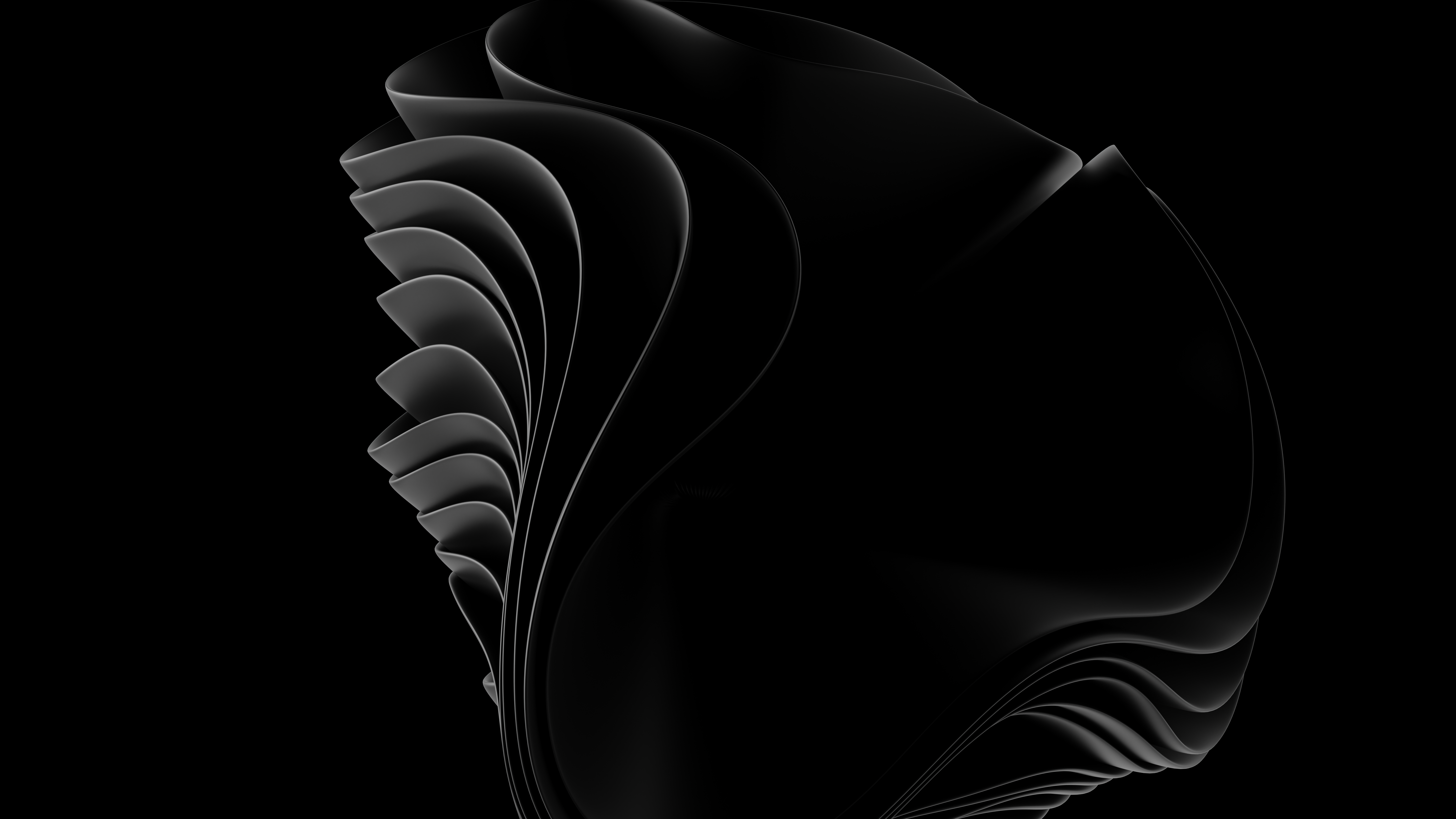 BLACK FLOWERS 1 gallery image