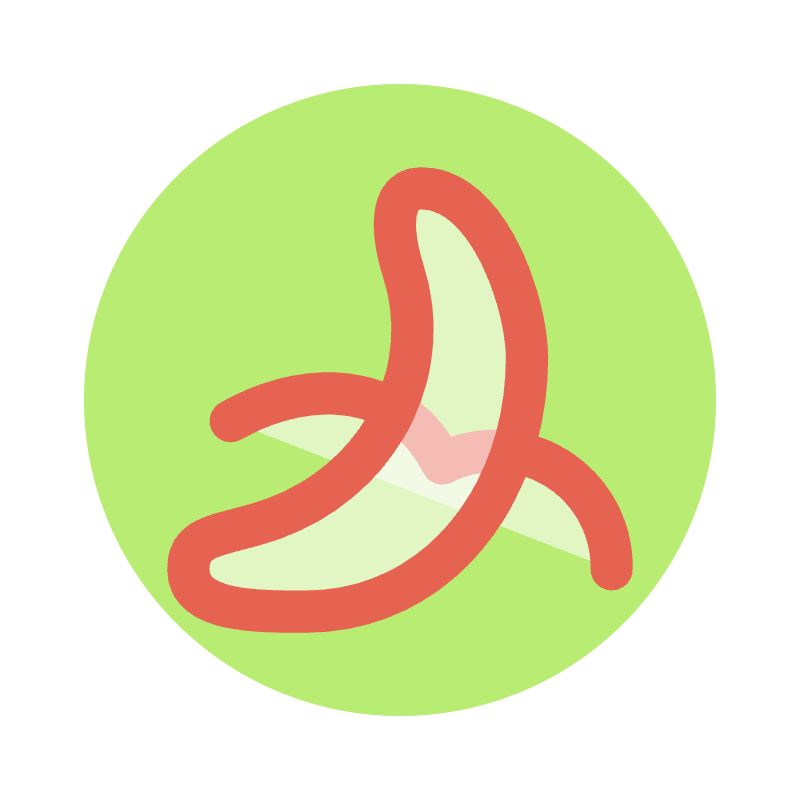 新東