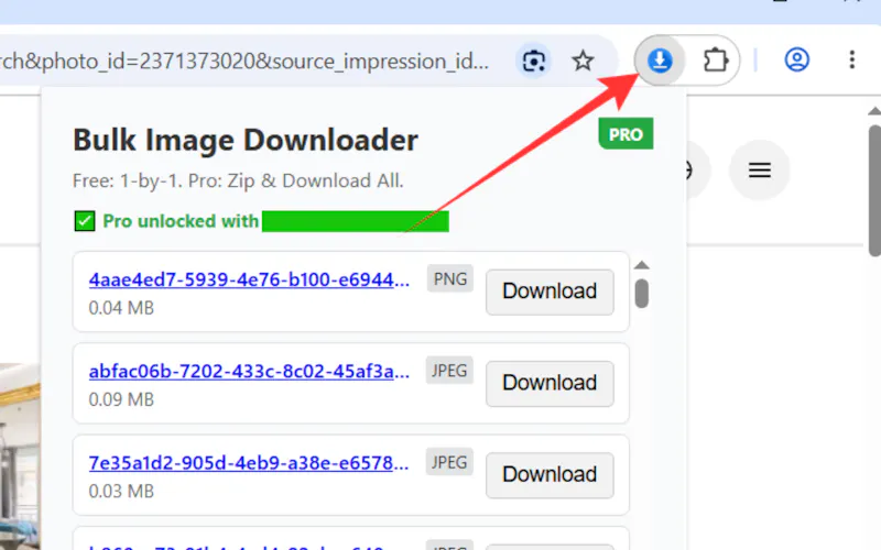 Bulk Image Downloader screenshot 4