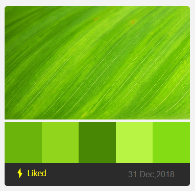 ColorKik gallery image