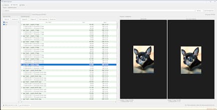 Media Organizer gallery image