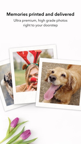 MagePrints gallery image