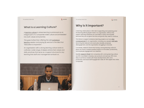 The Learning Culture Quiz gallery image