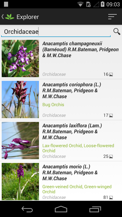 PlantNet gallery image