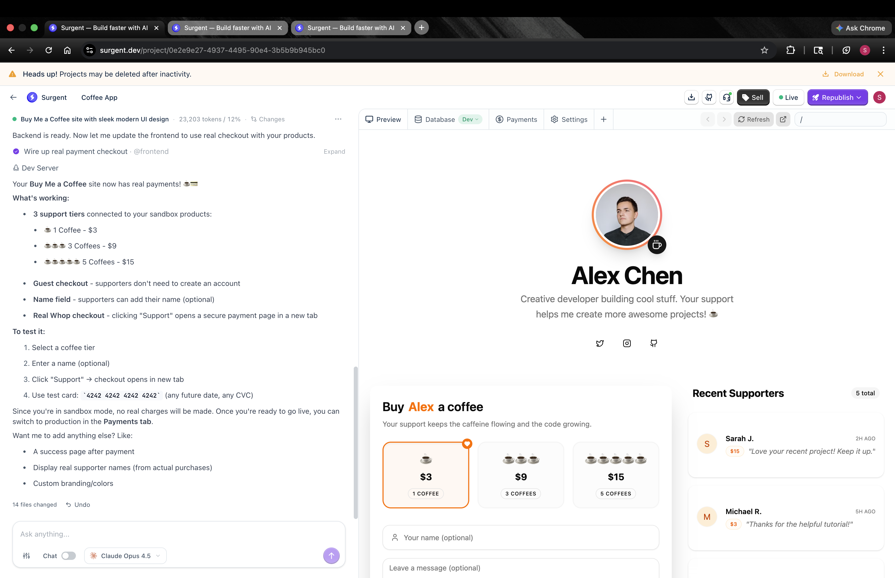 Surgent gallery image