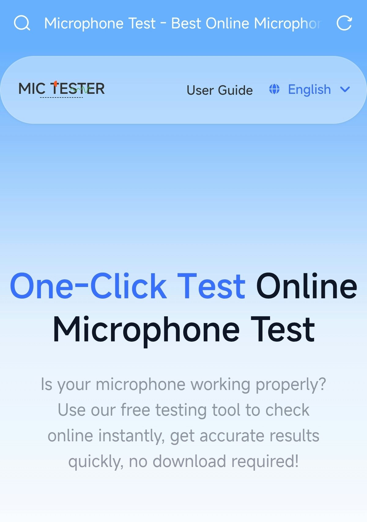 Microphone Test gallery image