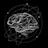 Life Core: Notion Second Brain