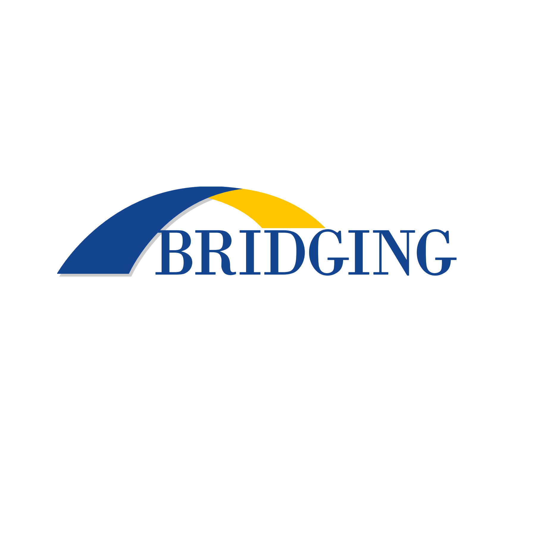 BRIDGING gallery image