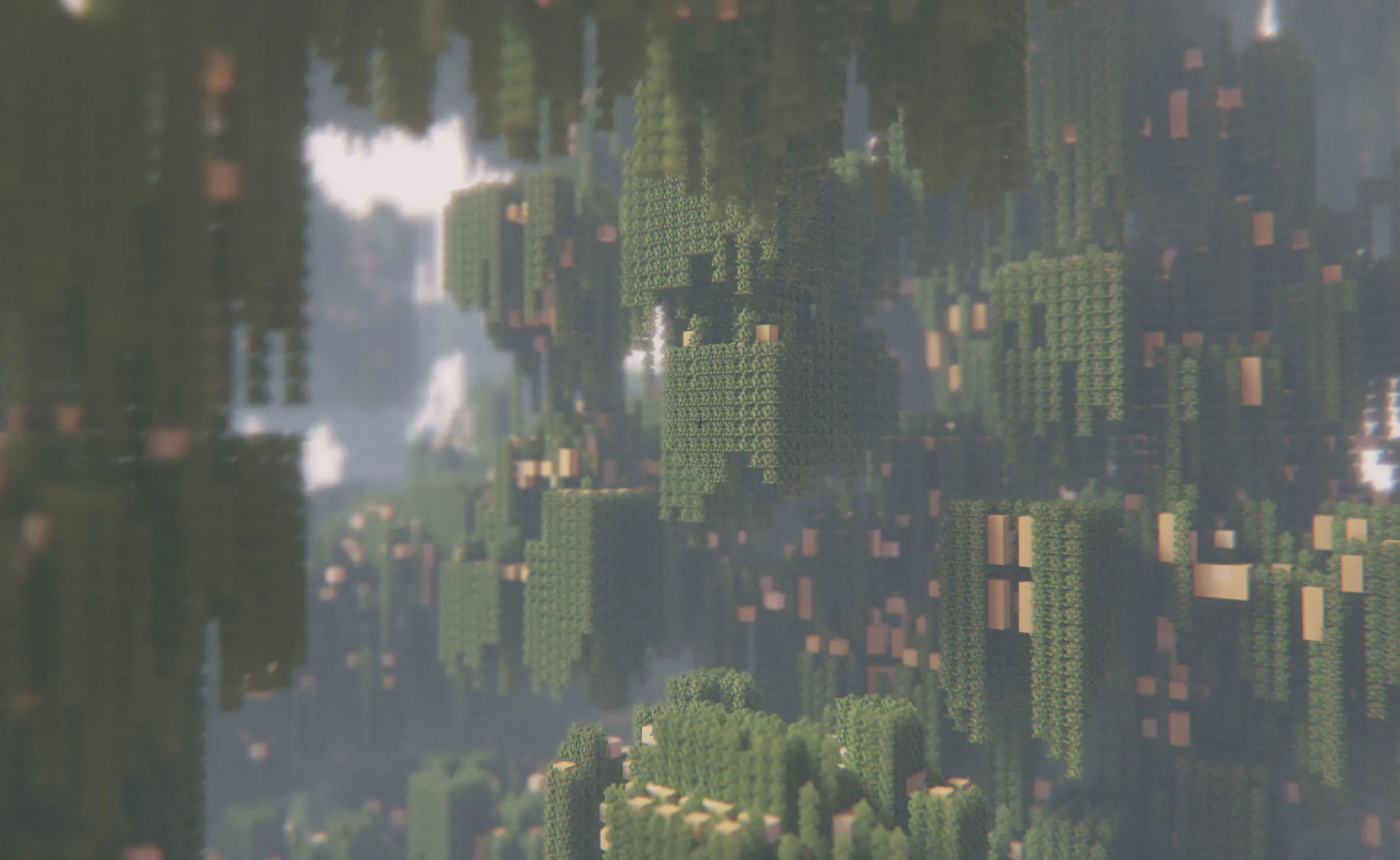 VoxelChain