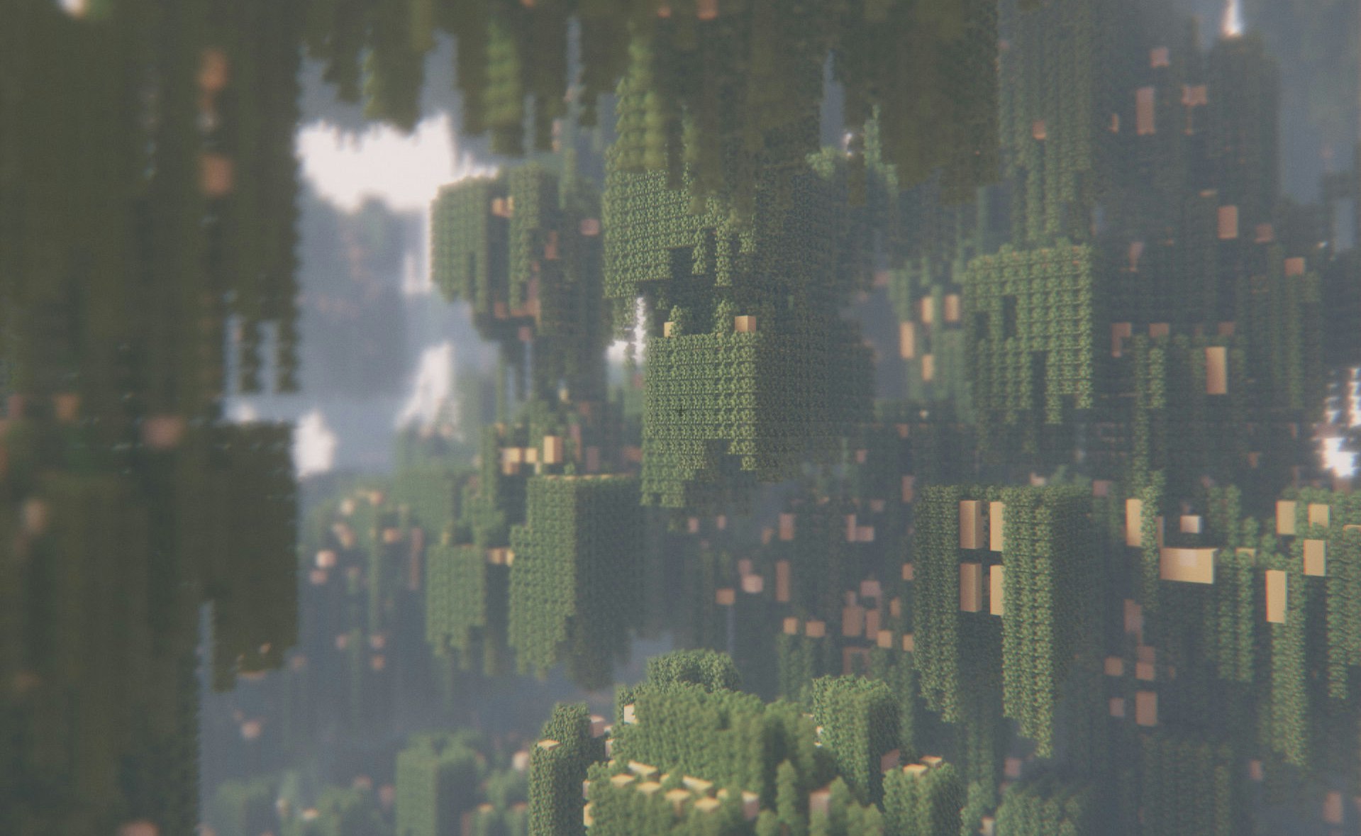 Voxelchain