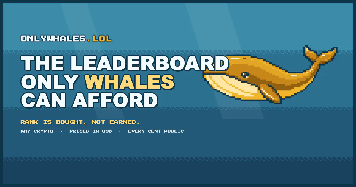 onlywhales.lol gallery image