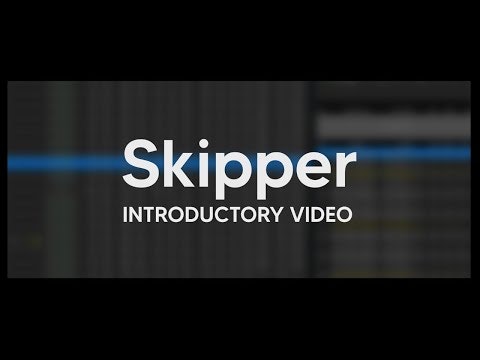 Skipper gallery image