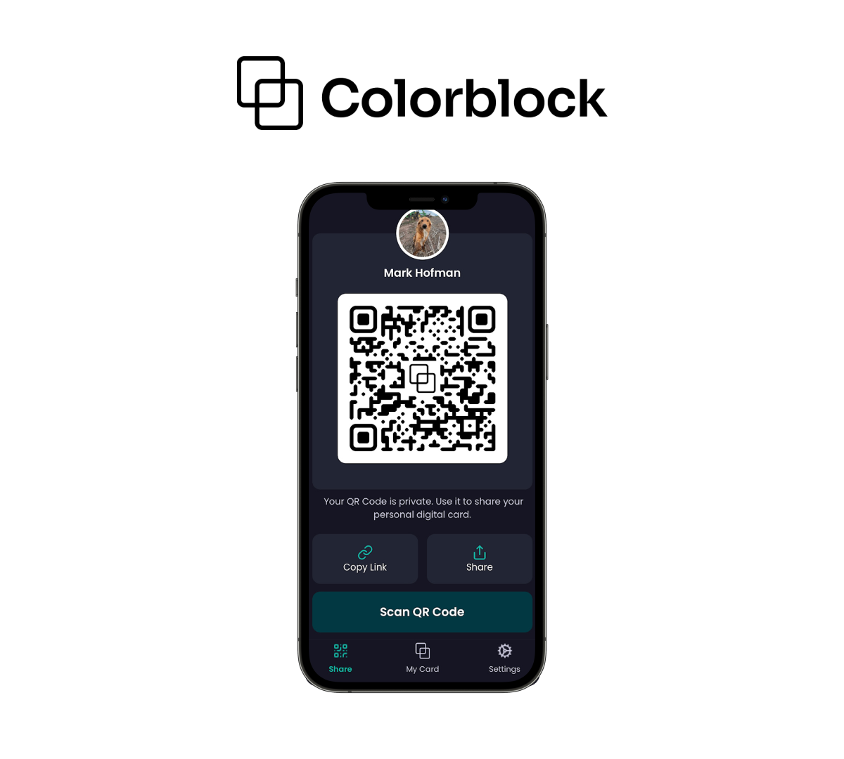 Colorblock media 4