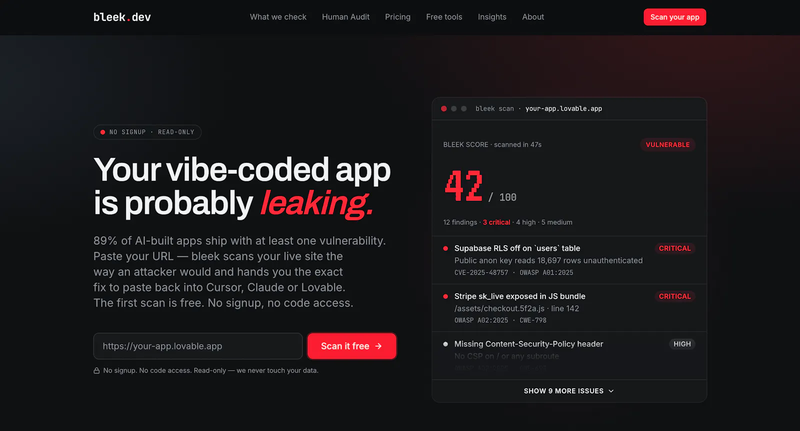Bleek.dev screenshot 2