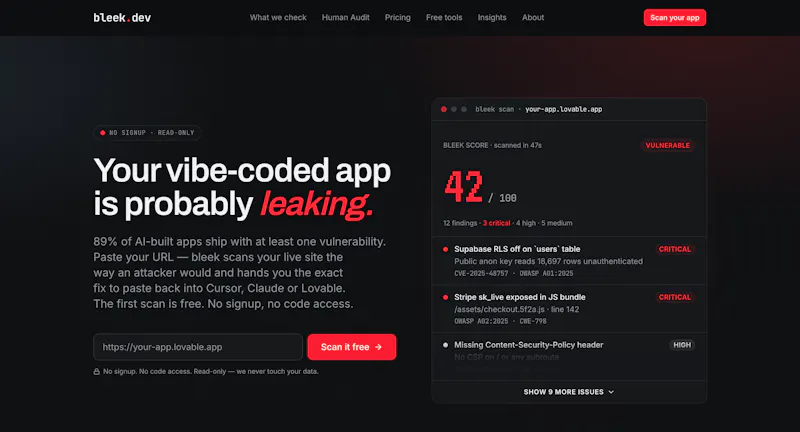 Bleek.dev screenshot 2