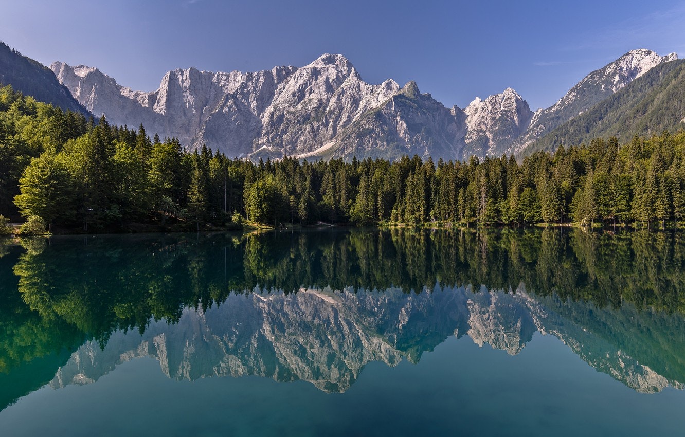 VOCA.CC gallery image