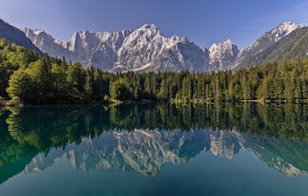 VOCA.CC gallery image