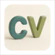 Professional Resume Builder