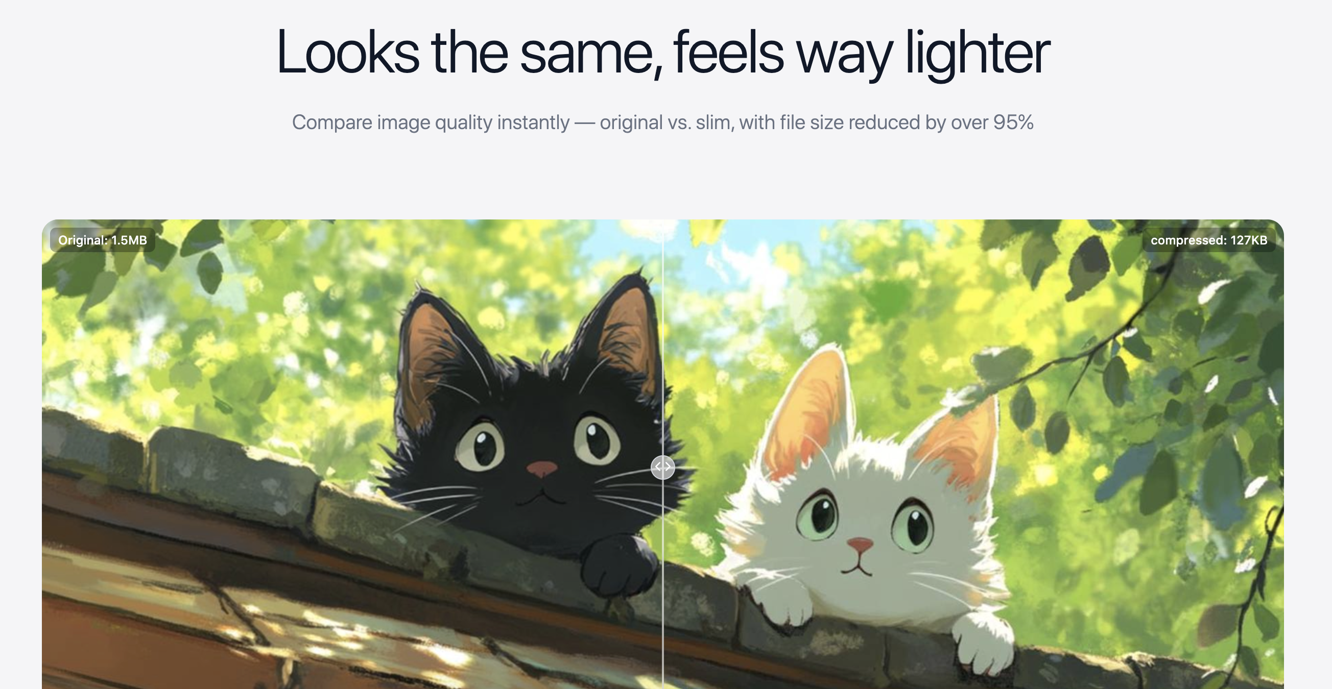 SlimImg gallery image