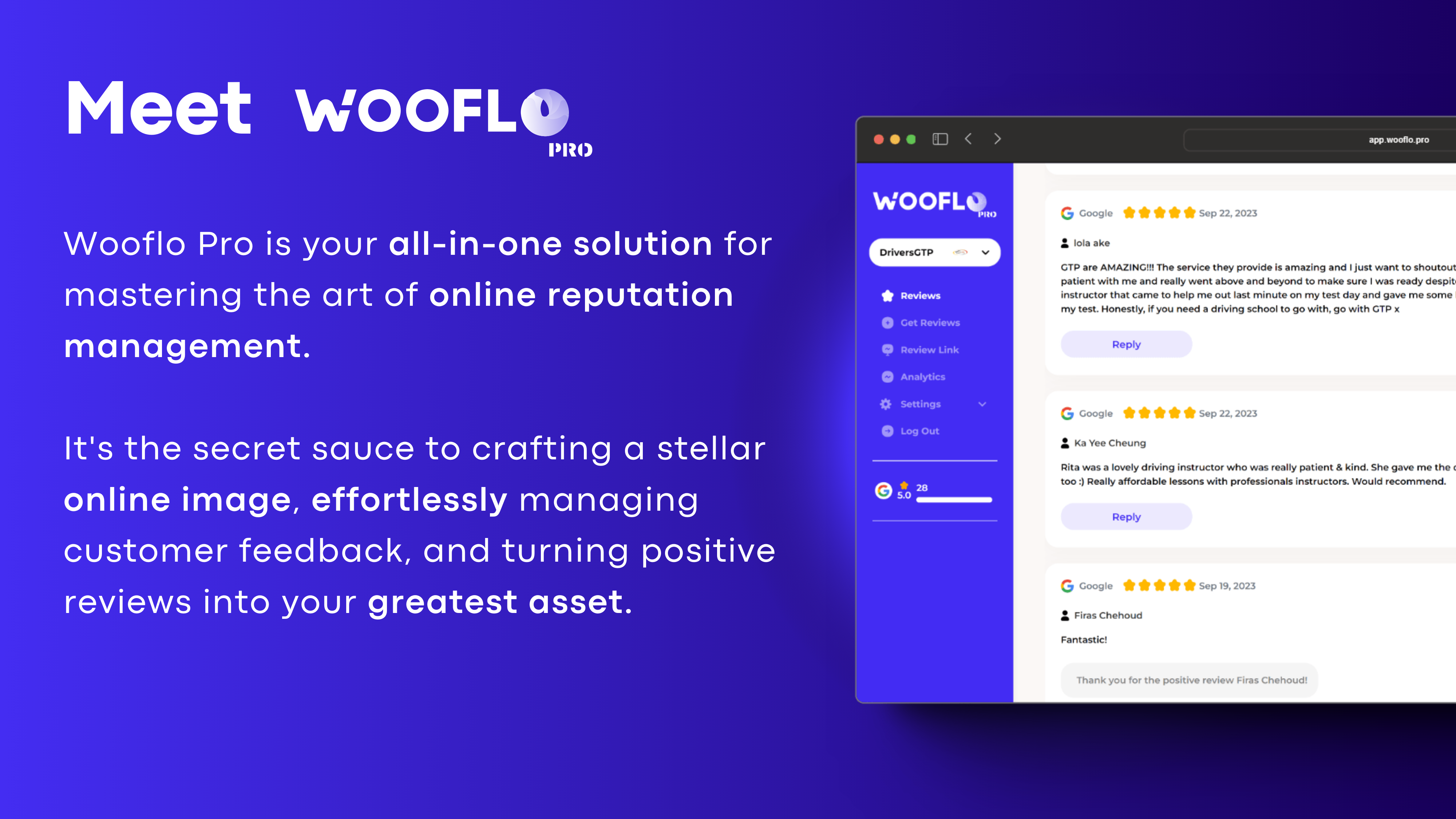 Wooflo Pro media 3
