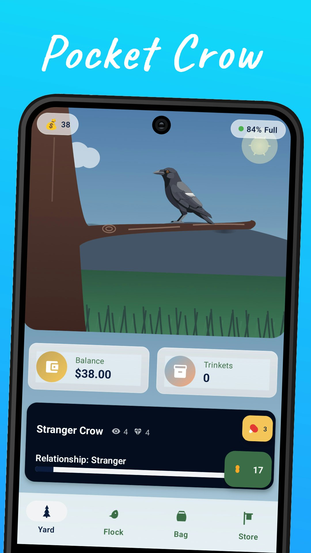 Pocket Crow gallery image