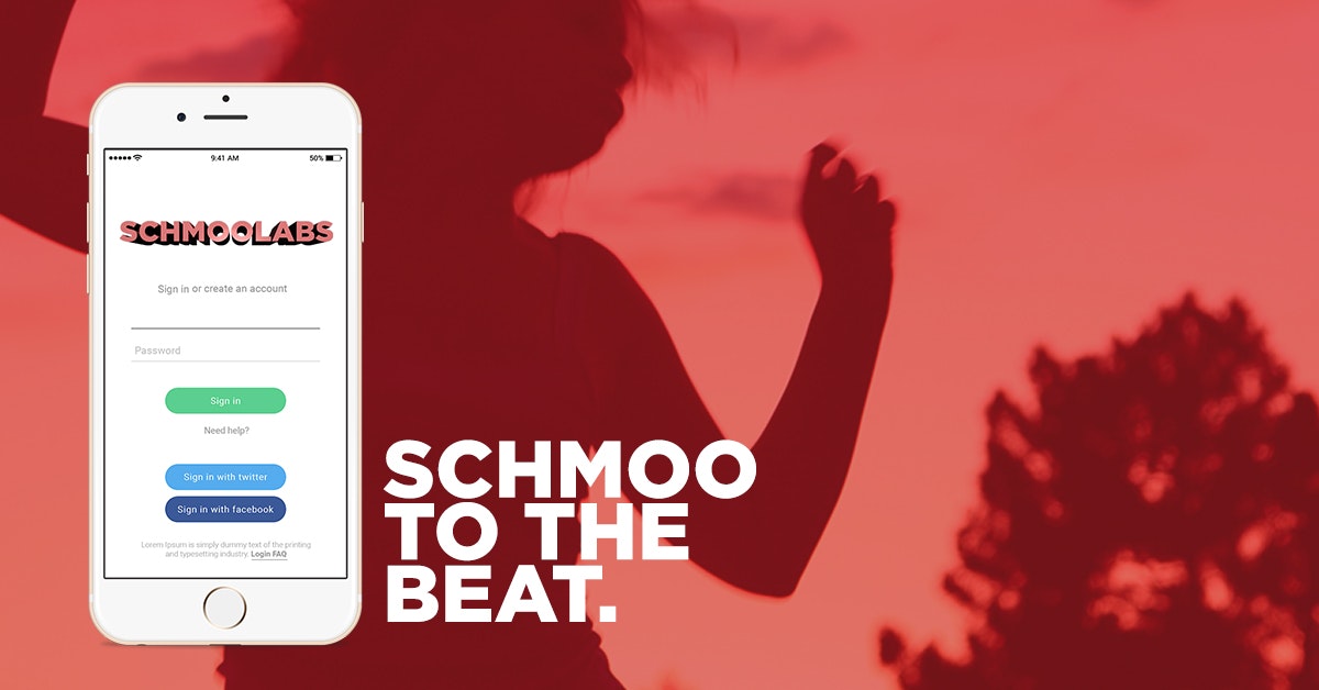 SchmooLabs - Your Music Unwound