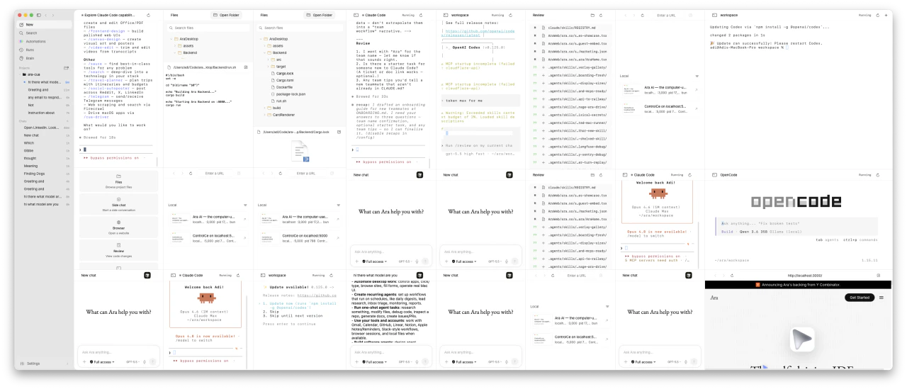 Ara screenshot 1