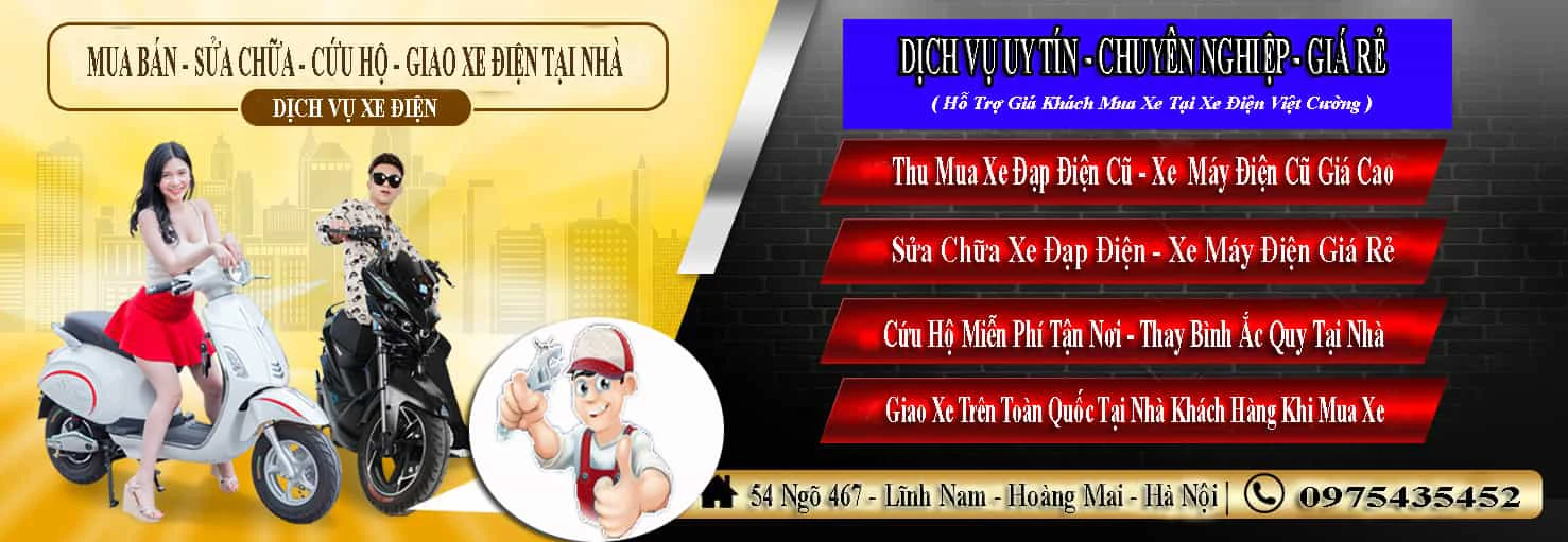 Xe đạp điện cũ Việt cường cover