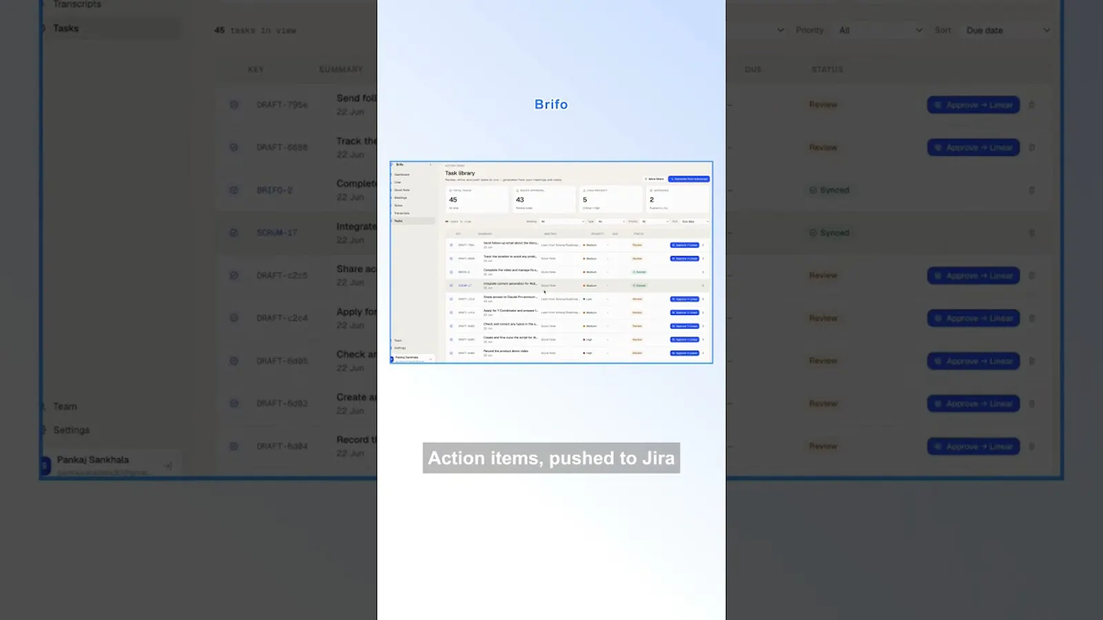 Brifo screenshot 1 (video preview)