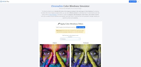 WCAG Plus – Web Accessibility Tool gallery image