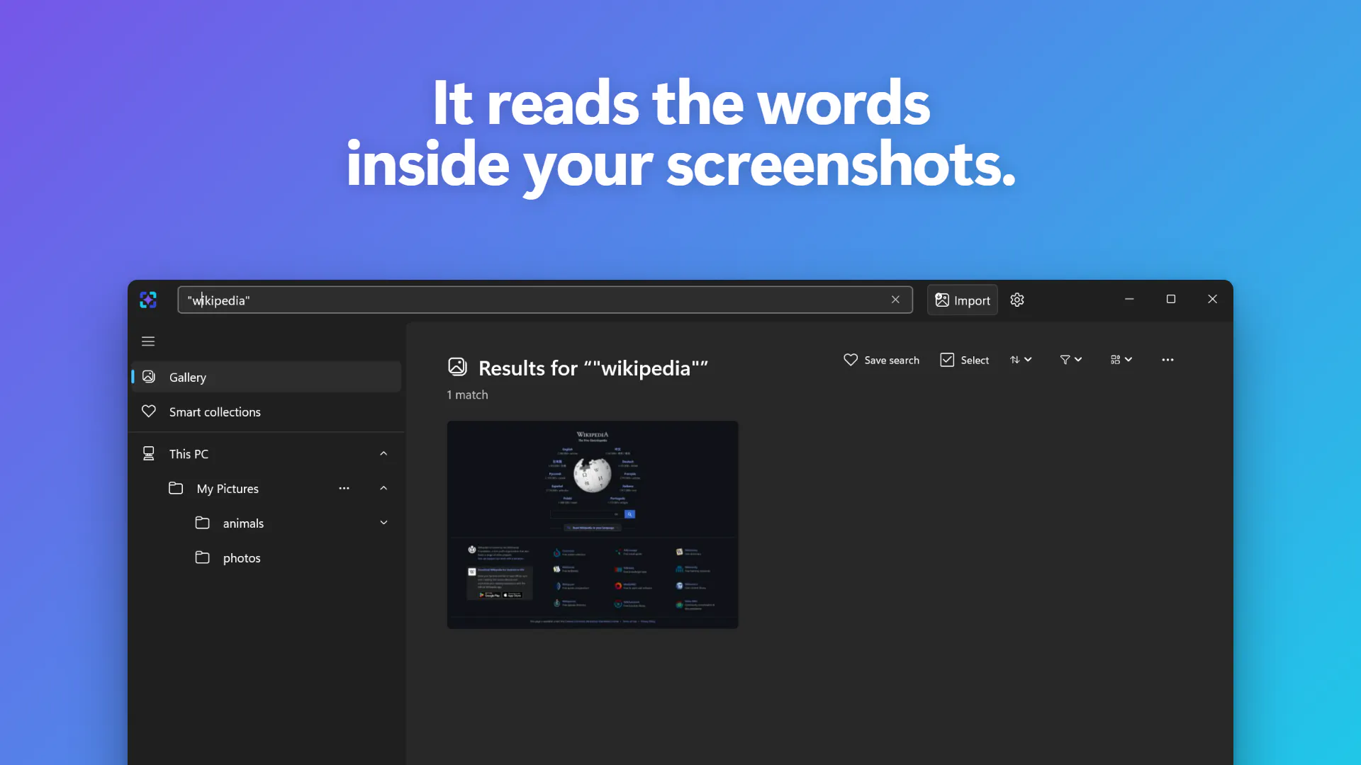ImageSage AI photo manager gallery image