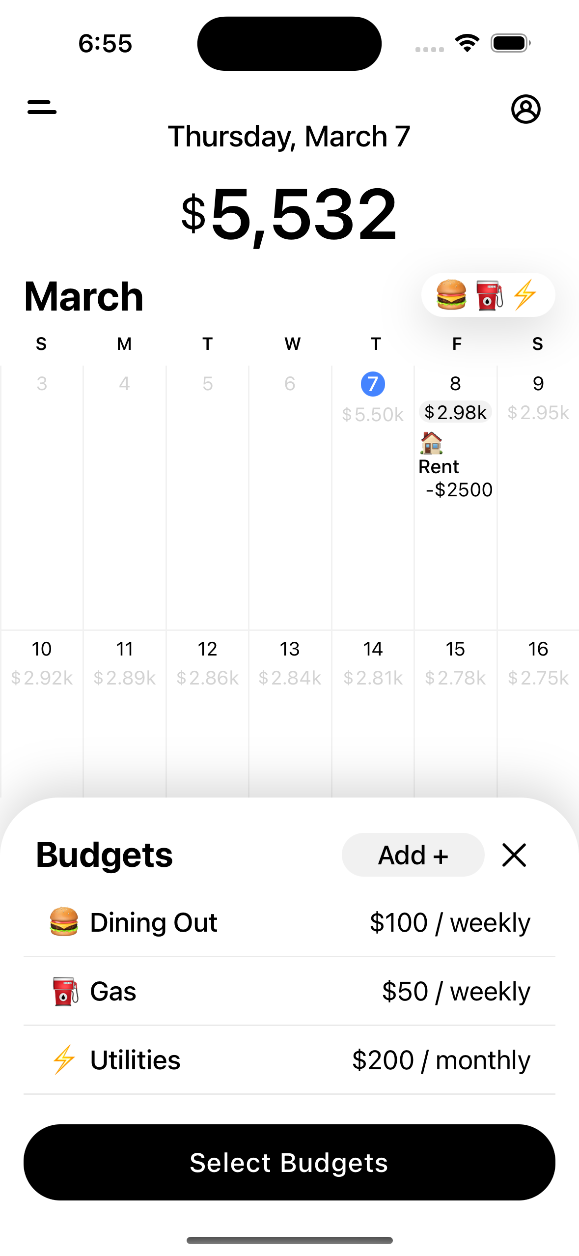 Fical Your Money Planner