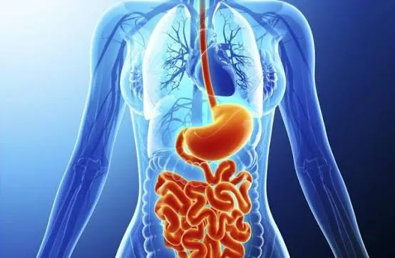 Delhi Gastro Care