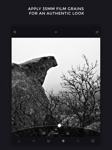 Camera Noir gallery image