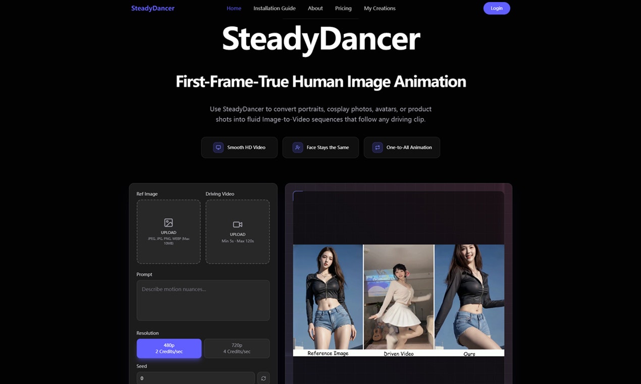 SteadyDancer gallery image