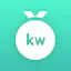 KudosWall Europass CV Builder