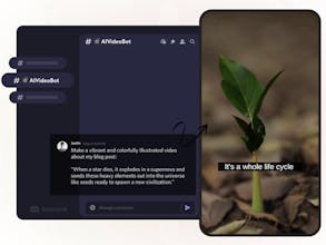 AIVideo gallery image