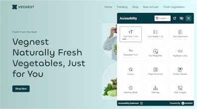 WordPress Accessibility By Accessiy gallery image