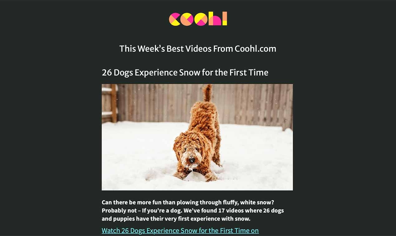 Cat On – Animated Stickers gallery image