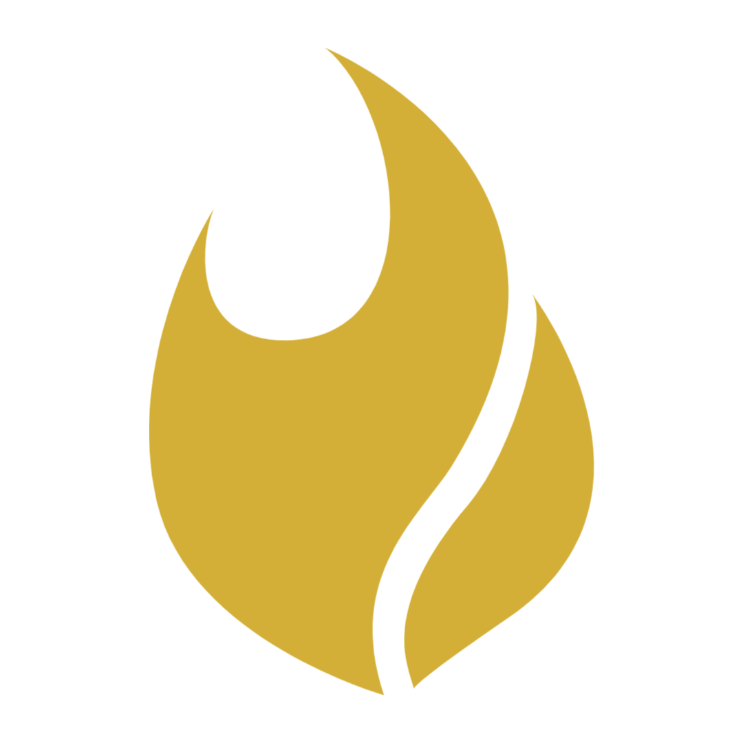 Flamel.ai logo