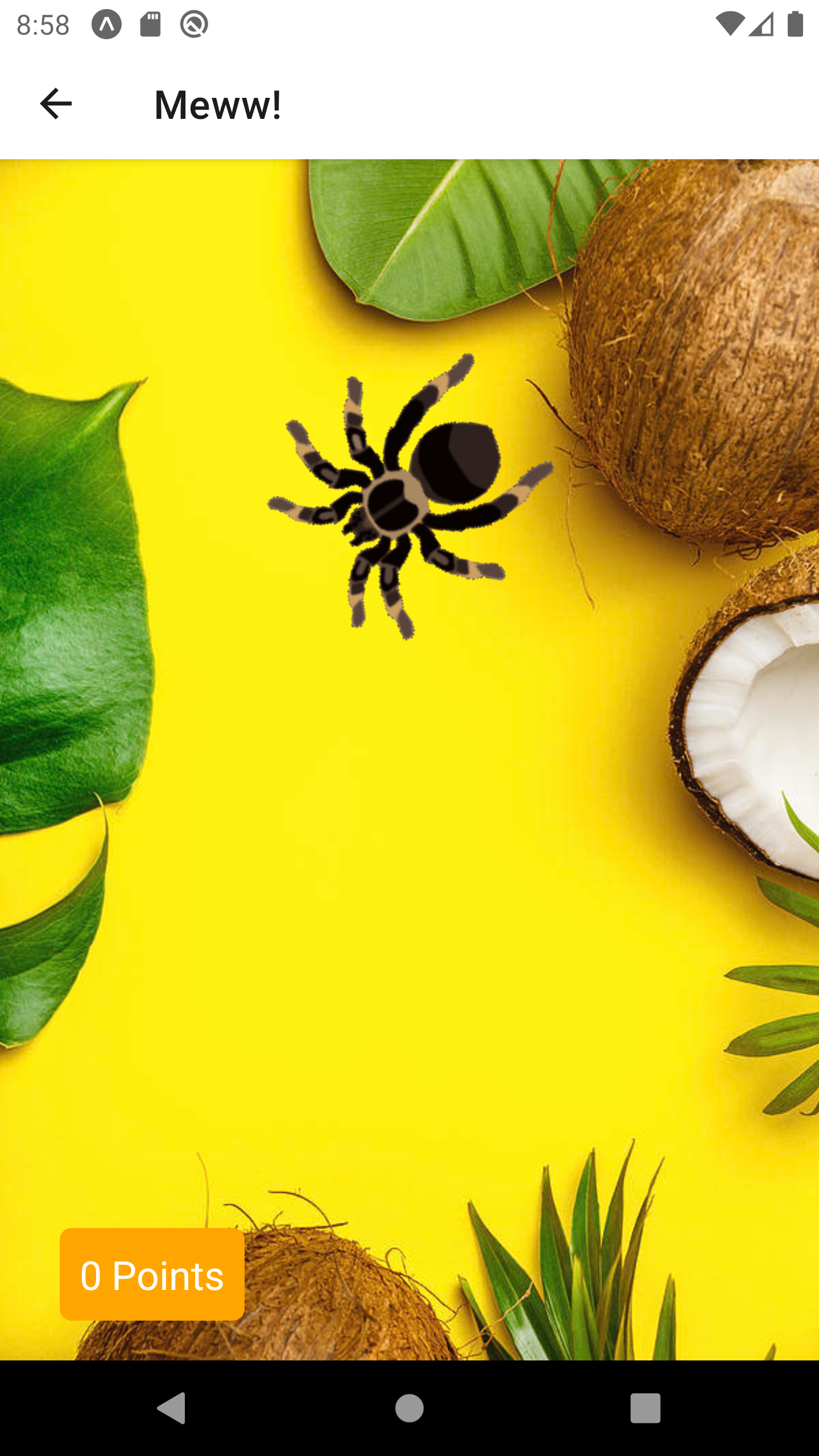 Giogattolo | Toy Cat App gallery image