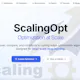 ScalingOpt