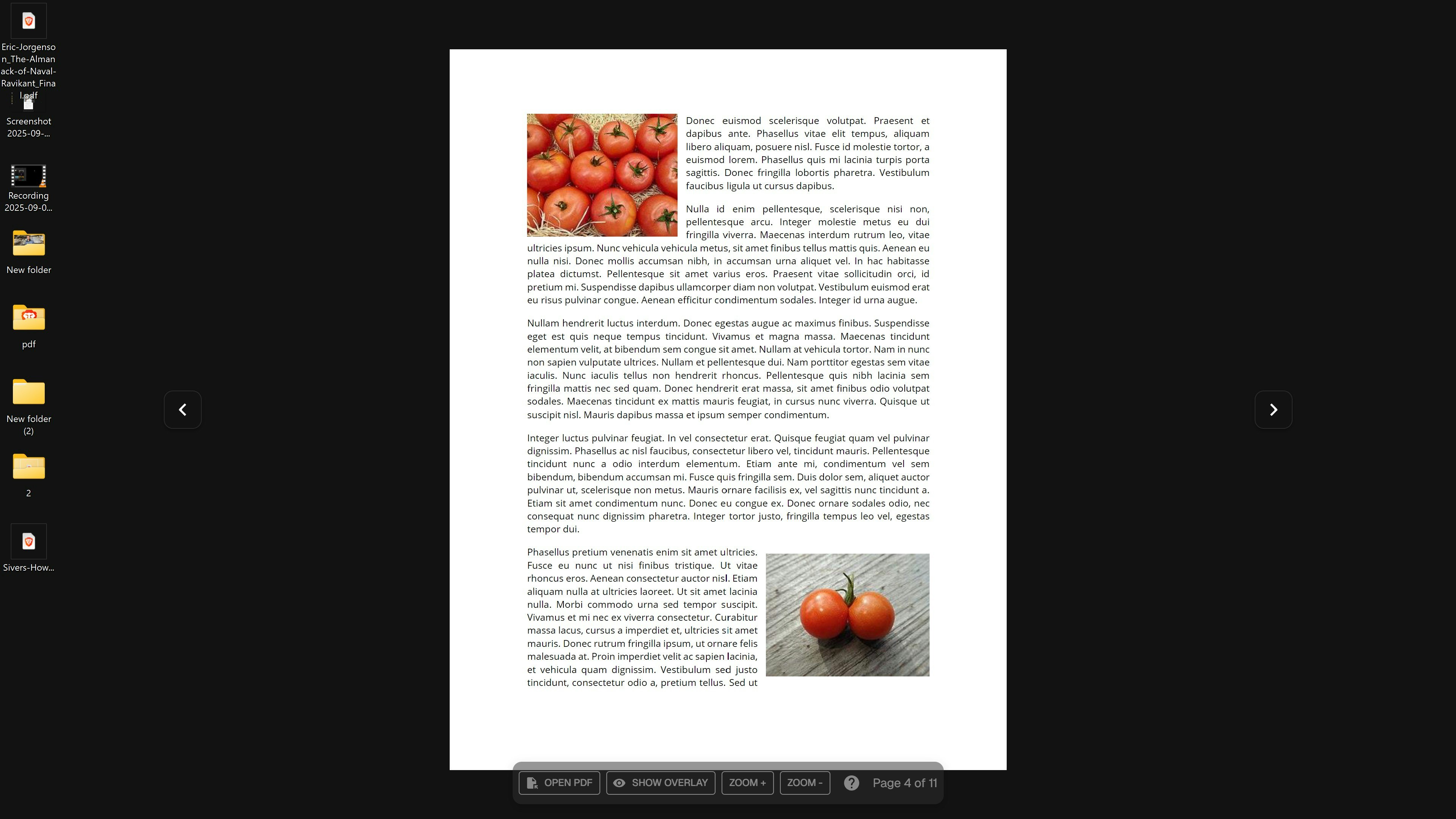 Sfondo PDF - Imposta i PDF come sfondi: nessun schermo, nessun upload 🔒 media 4