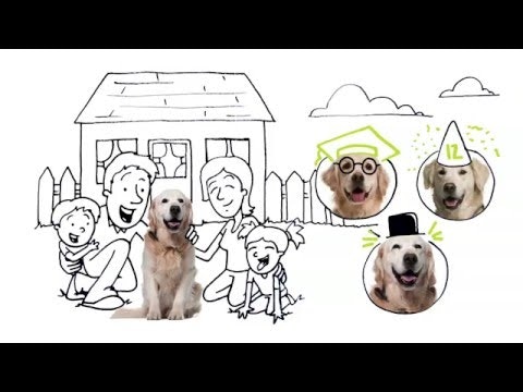 ViaGen Pets gallery image