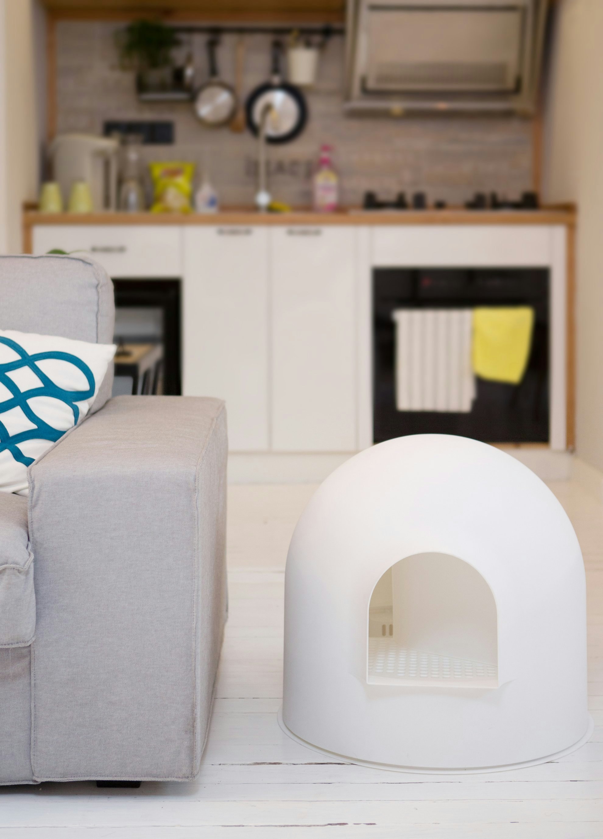 Want an invisible litter box? - try this! pidan igloo litter box gallery image