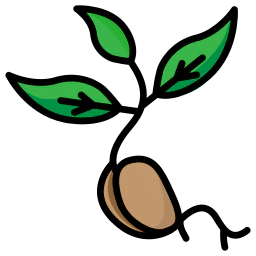 The Beginnings Newsletter