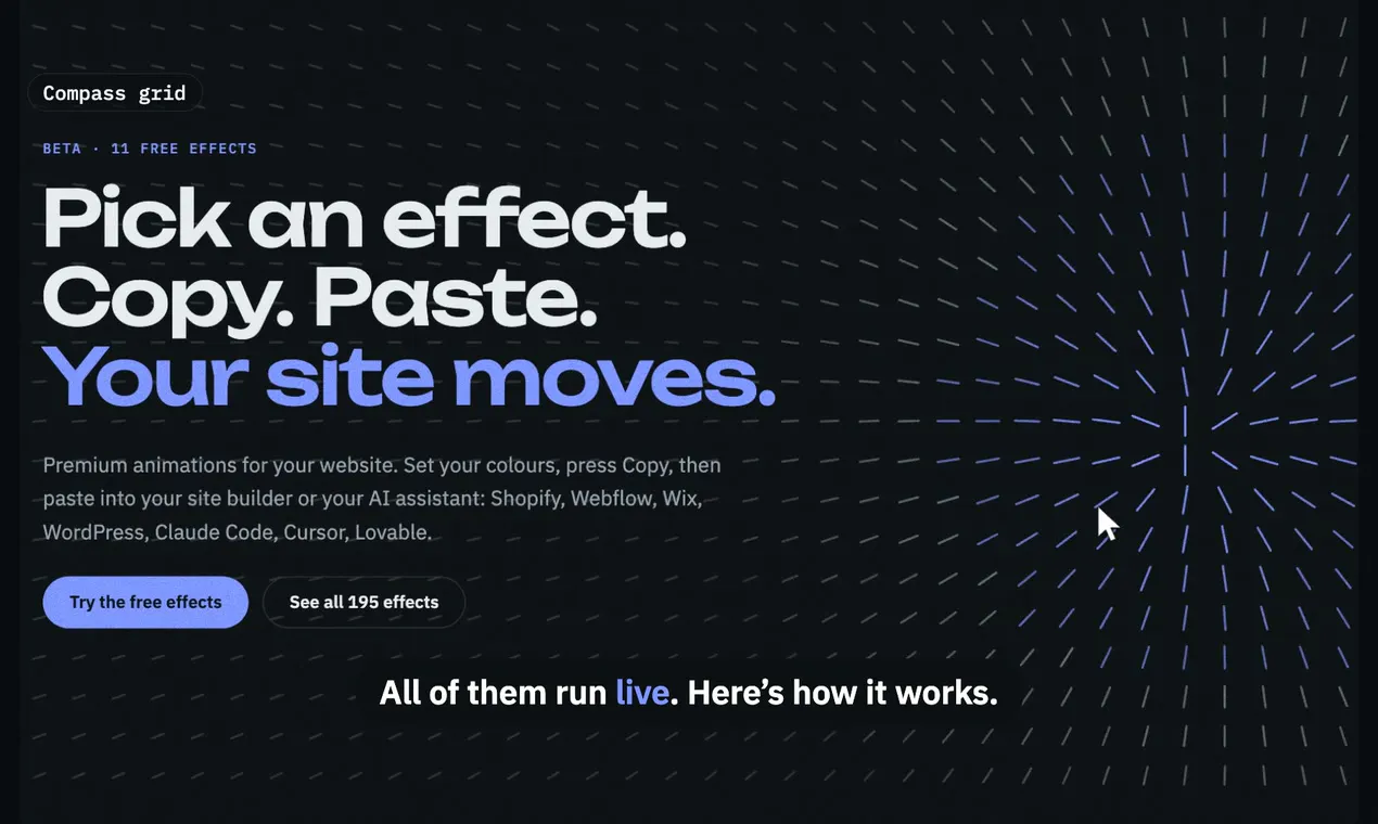 Your Motion Designer gallery image