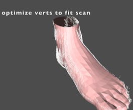 SprinSole Omni Custom Insoles gallery image