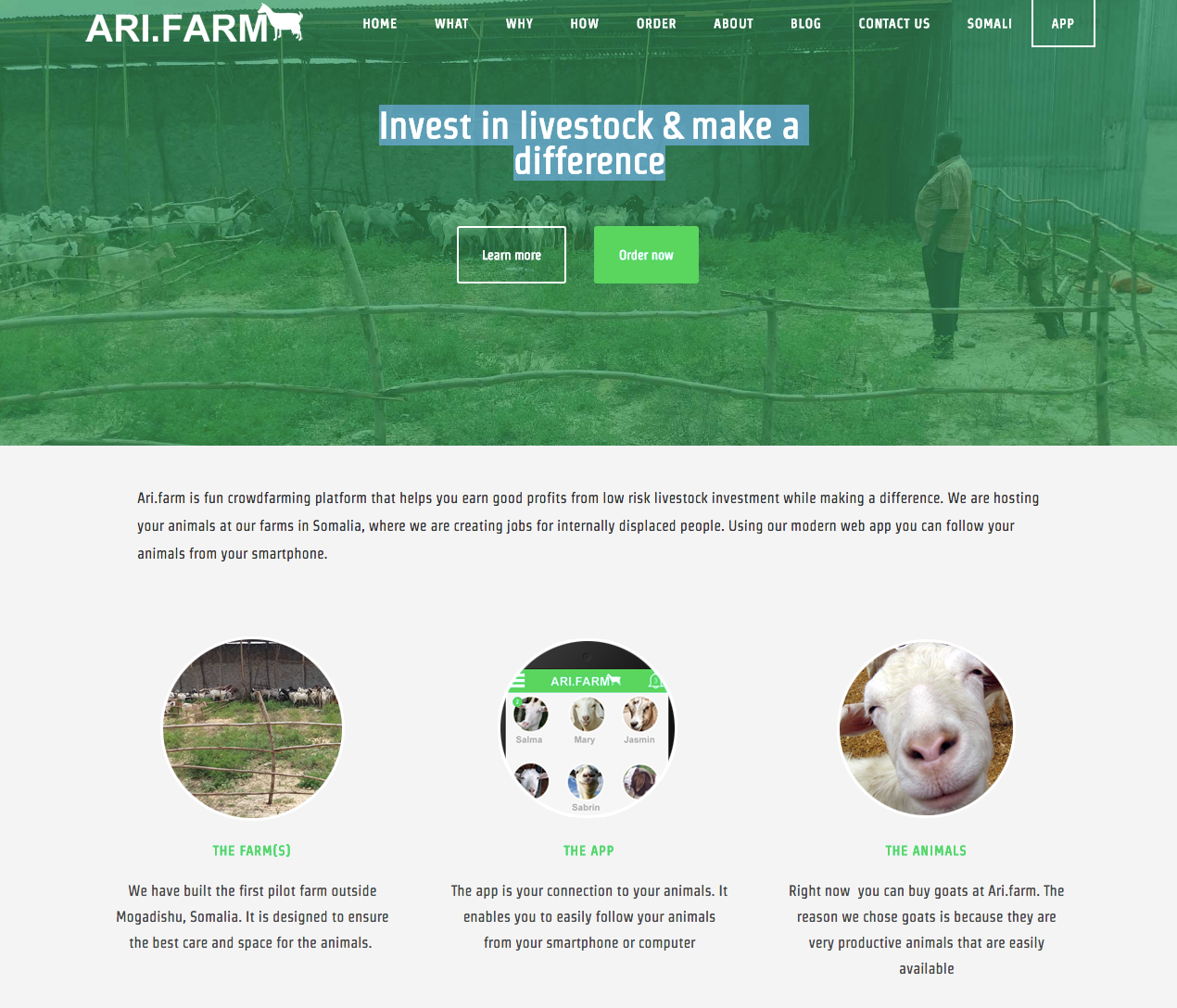 Ari.Farm gallery image