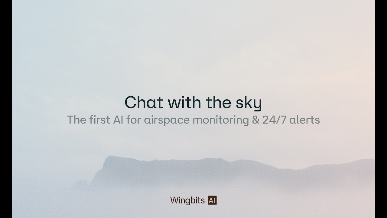 Wingbits AI gallery image